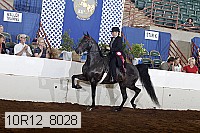 10r12_8028 proof