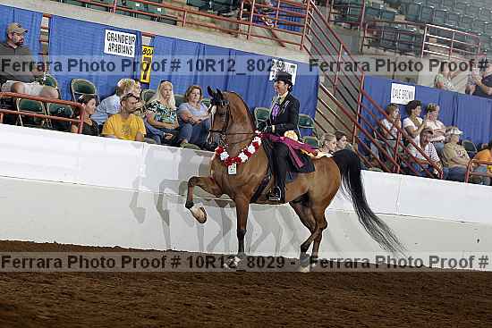 Proof 10r12_8029