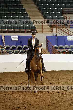 Proof 10r12_8141