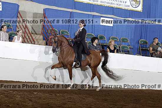 Proof 10r12_8151