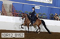 10r12_8152 proof