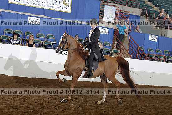 Proof 10r12_8154