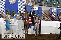 10r12_8162 proof