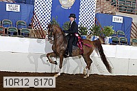 10r12_8170 proof