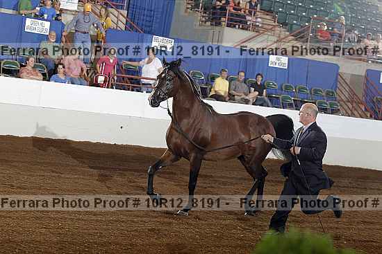 Proof 10r12_8191
