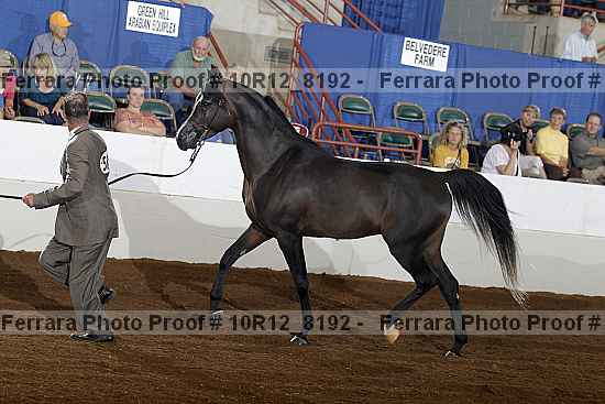 Proof 10r12_8192