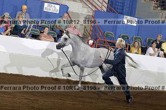 Proof 10r12_8196