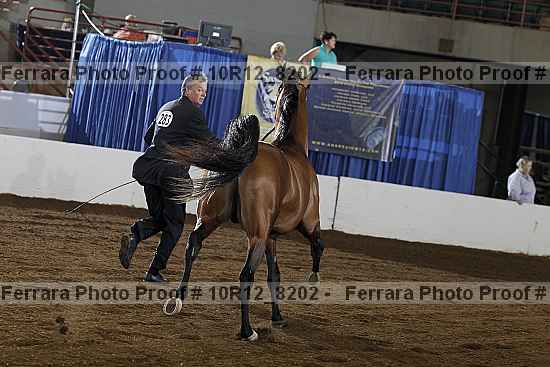 Proof 10r12_8202