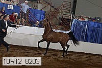 10r12_8203 proof