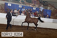 10r12_8204 proof
