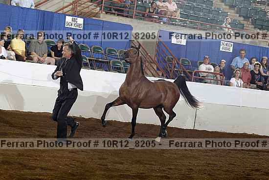 Proof 10r12_8205