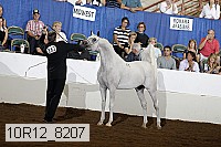 10r12_8207 proof