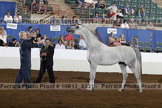 Proof 10r12_8231