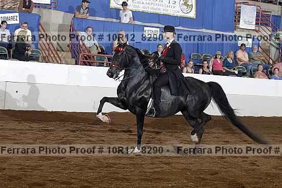 Proof 10r12_8290