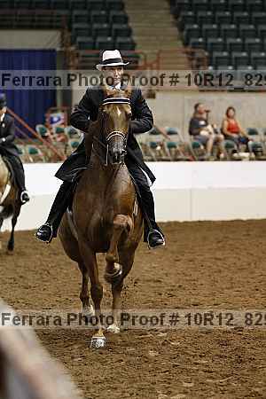 Proof 10r12_8291
