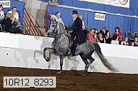 10r12_8293 proof