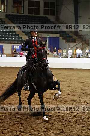 Proof 10r12_8294