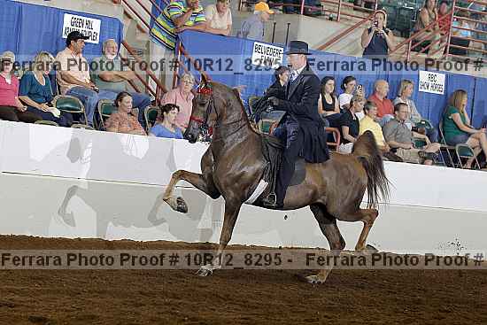 Proof 10r12_8295