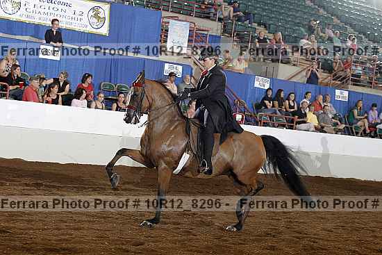 Proof 10r12_8296