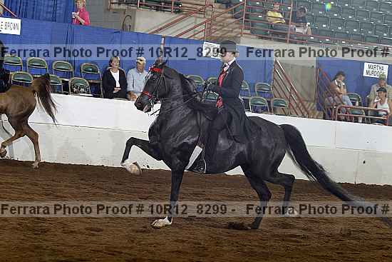 Proof 10r12_8299