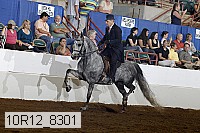 10r12_8301 proof