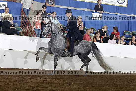 Proof 10r12_8302