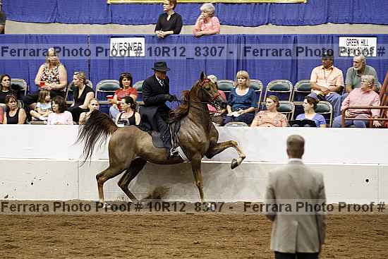 Proof 10r12_8307