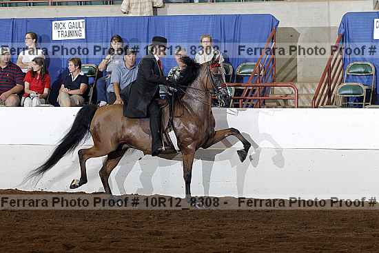 Proof 10r12_8308