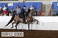 10r12_8308 proof