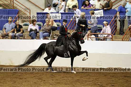 Proof 10r12_8311