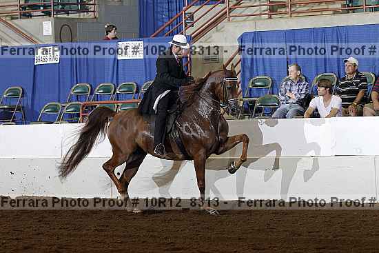 Proof 10r12_8313