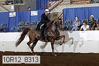 10r12_8313 proof