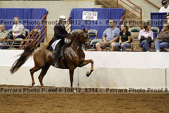 Proof 10r12_8314