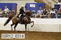 10r12_8314 proof
