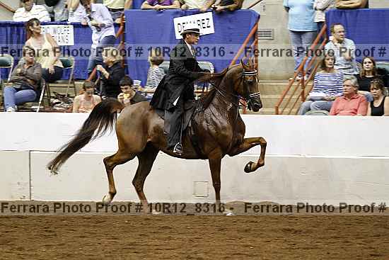 Proof 10r12_8316