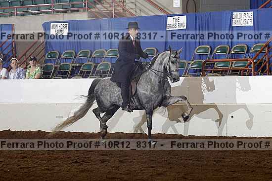 Proof 10r12_8317