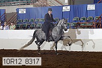 10r12_8317 proof