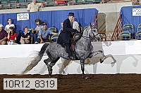 10r12_8319 proof