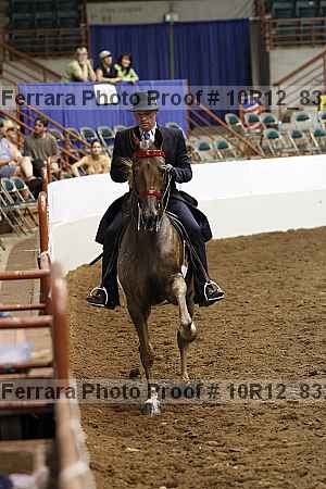 Proof 10r12_8324