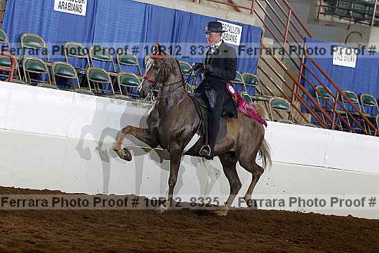 Proof 10r12_8325
