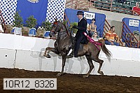 10r12_8326 proof