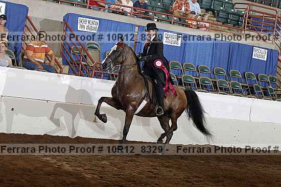 Proof 10r12_8329