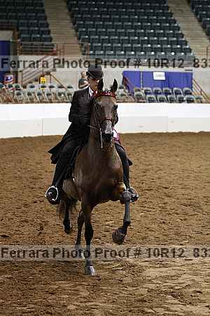 Proof 10r12_8330