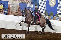 10r12_8331 proof