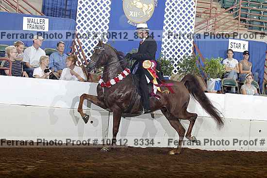 Proof 10r12_8334