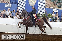 10r12_8334 proof