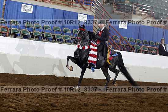 Proof 10r12_8337