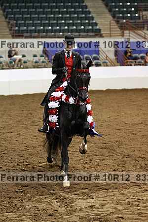 Proof 10r12_8338