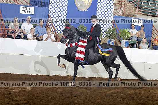 Proof 10r12_8339