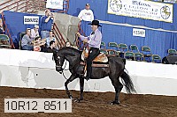 10r12_8511 proof
